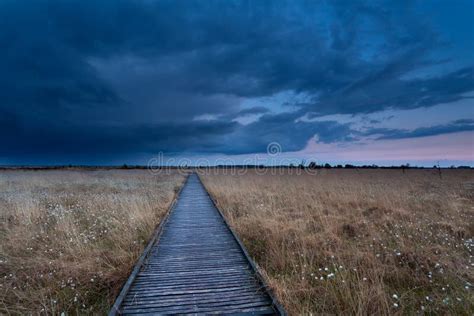 Wooden Path On Marsh At Storm During Sunset Stock Photo Image Of Dusk