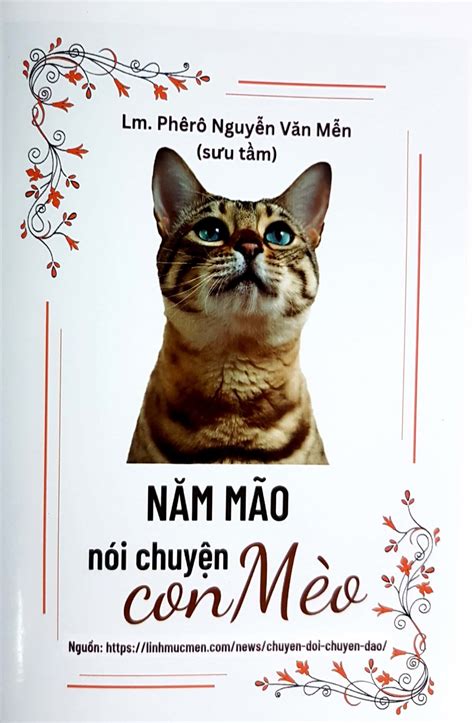 Download 50 Hình ảnh ê Con Mèo Chất Lượng Full Hd Wikipedia