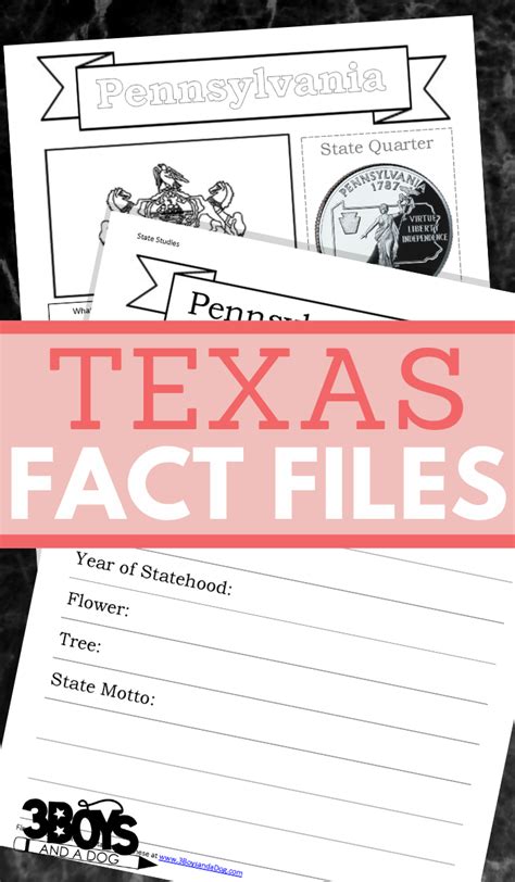 Texas Worksheets State Facts And Symbols Usa Unit Study