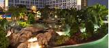 Hotels Near Seaworld And Universal Studios Orlando