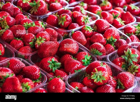 Strawberries In Plastic Containers Stock Photo Alamy