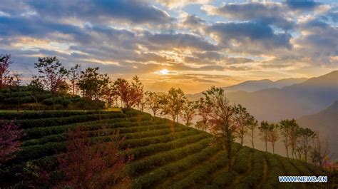 Scenery Of Cherry Valley On Wuliang Mountain In Sw Chinas Yunnan