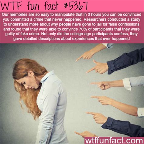 How Your Memories Can Be Manipulated Wtf Fun Wtf Fun Facts Fun Facts