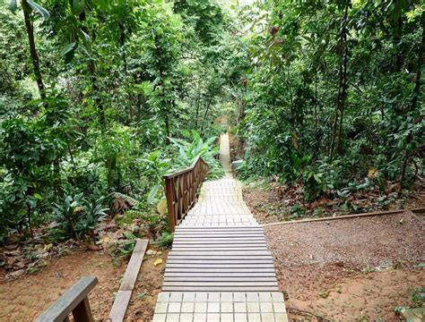 This accommodation is steps from taman eko rimba kl and 3 km from downtown of kuala lumpur.lake symphony is also located near the hotel. Let's Go Hiking at Taman Eko Rimba Hidden in the Heart of ...