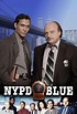 New York Cops - NYPD Blue Episodenguide | Liste der 241 Folgen ...