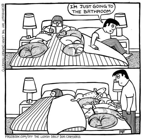 When The Dogs Take Over Your Bed Comics Sleeping Dogs Funny Dogs