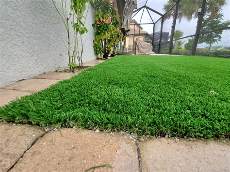 Naples Pet Area Traditional Landscape Miami By Turfgrass