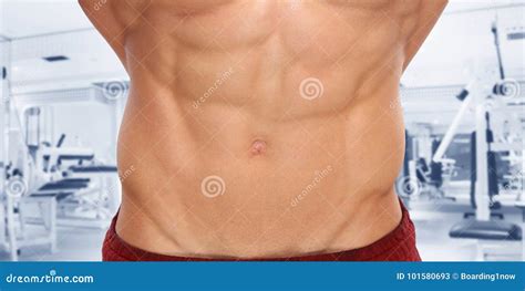 Abs Abdominal Muscles Stomach Gym Bodybuilder Bodybuilding Man Stock Image Image Of Flexing