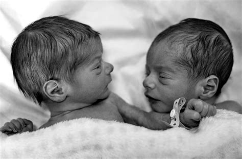 Fraternal And Identical Twins Baby 6 Truths That Could Change How You