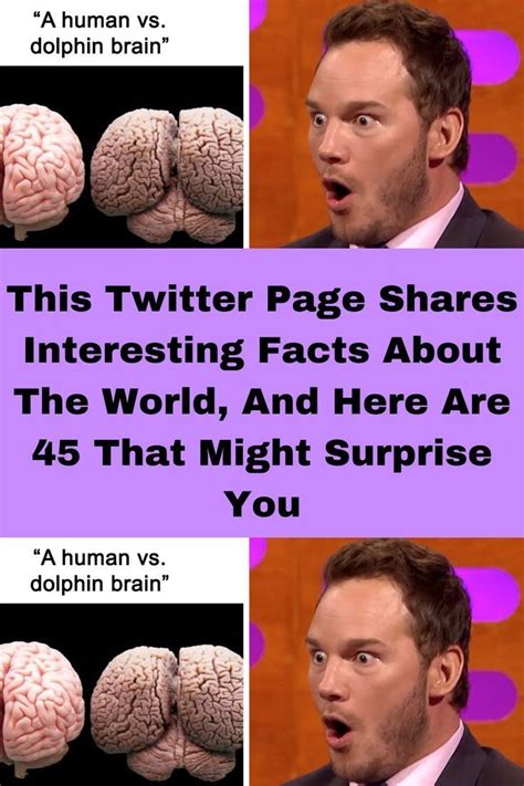 this twitter page shares interesting facts about the world and here are 45 that might surprise