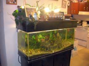 My 75 gallon aquarium with aquaponics on the top. It had just started 