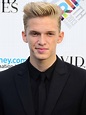 Cody Simpson Picture 200 - 27th ARIA Awards 2013 - Arrivals