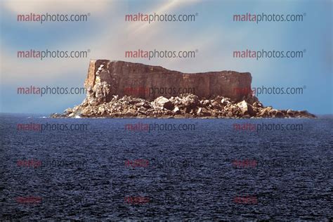 Filfla Island Sea Malta Photos