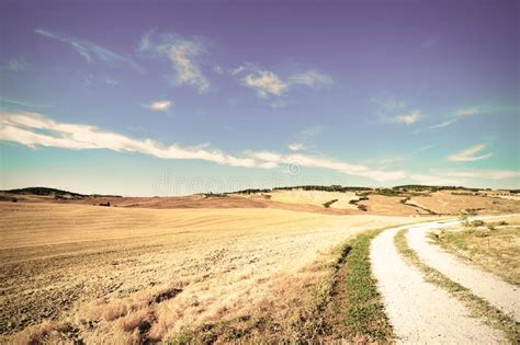 Dirt Road Between The Fields Stock Image Image Of Path Field 150774737
