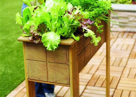 The most basic thing to be included in any decking design plans is the size and location of the deck. 12 Outstanding DIY Planter Box Plans, Designs and Ideas | The Self-Sufficient Living