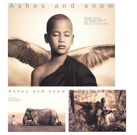 Bundle 3 Assorted Gregory Colbert Ashes And Snow Posters Gregory