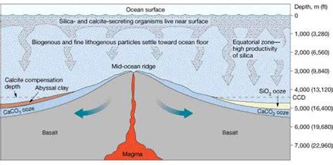 Mn nodules are found in many ocean basins (fig. The Geophile Pages: Lessons: Oceanography