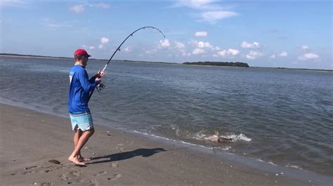 Shark Fishing On Folly Beach Youtube