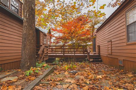 We are located in beautiful johnson county, illinois, and nestled within the shawnee national forest. Double Chalet - Southern Illinois Cabin Rentals, Shawnee ...