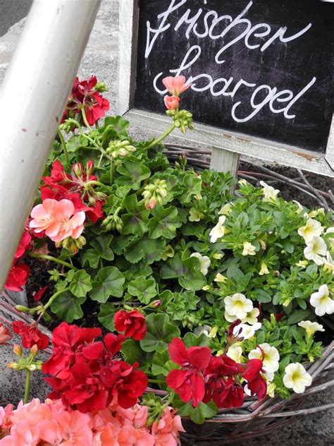 Flowers from usa to germany. cupcake studio: germany - flowers