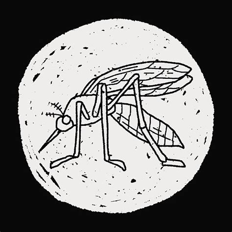 Gnat Bugs Drawings Illustrations Royalty Free Vector Graphics And Clip