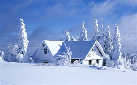 Photos Winter Nature Snow Seasons 1920x1200