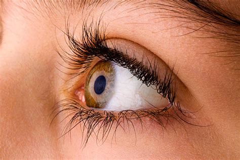 Best Human Eye Close Up Eyeball Side View Stock Photos Pictures