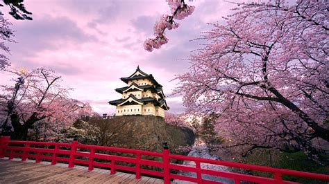 If you see some japan hd wallpapers you'd like to use, just click on the image to download to your desktop or mobile devices. 37+ Japanese Cherry Blossom Wallpaper 1920x1080 on ...