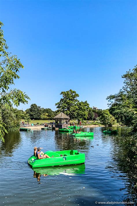 Dulwich Park A Locals Guide To The Best Of The Park