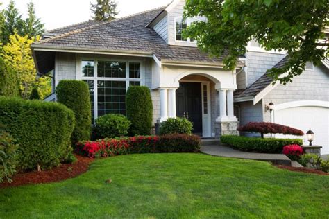 Best Method Of Preparing A Yard For Landscaping | My Decorative