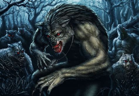 720p Free Download Werewolf Pack Fantasy Werewolves Pack Woods