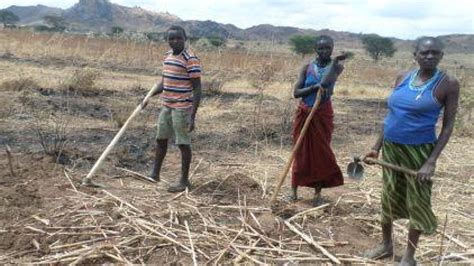Tackling Poverty And Drought In Uganda Undrr