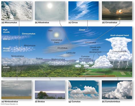 Cloud Types Interesting And Informative Site Weather Science Cloud