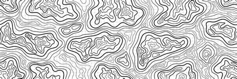 Contour Topographic Map With Wavy Lines Panoramic Black And White