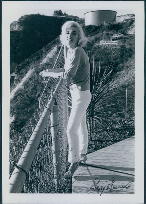 Revealed 22 Unpublished Pictures From Marilyn Monroes Final Photo Shoot Marilyn Monroe