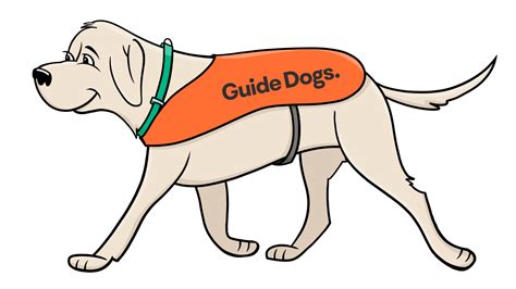 Guide Dogs Guide Dogs