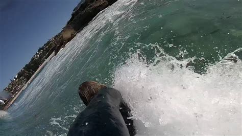 Esbs Bodysurfing Australia At Tamarama Beach Youtube
