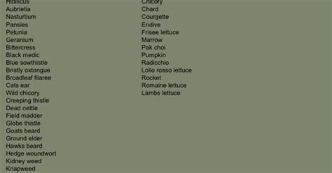 Tortoise diet list … | Pinterest