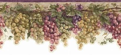 Border Fruit Kitchen Borders Grapes Grape Designs