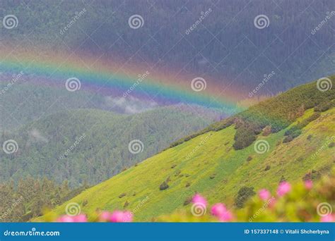 Mountain Landscape With A Rainbow Over Flowers Stock Photo Image Of