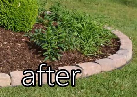 I found this awesome product by vigoro that made the job quick and easy. Easy DIY No Dig Garden Edging