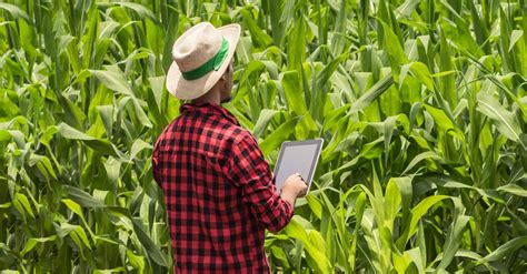Maybe you would like to learn more about one of these? Farmers and Social Media | American Family Insurance
