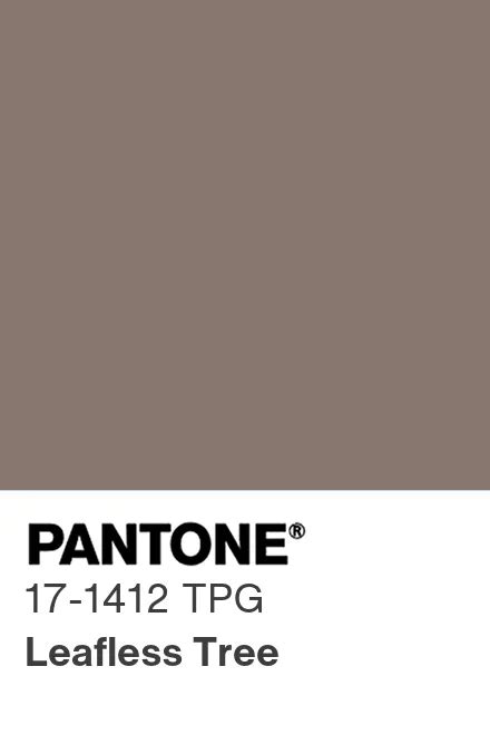 Pantone® Europe Pantone® 17 1412 Tpg Find A Pantone Color Quick