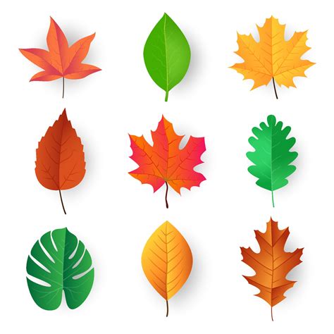 Colorful Leaves Vector Design 2279106 Vector Art At Vecteezy