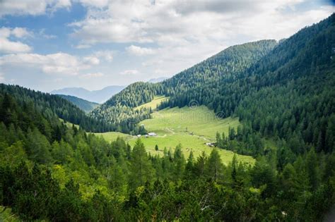 High Mountain Pasture Stock Image Image Of Ground Forest 44432345