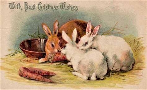 Antique Christmas Rabbits Bunnies Postcard Xmas Present Christmas