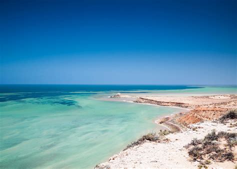 Visit Shark Bay On A Trip To Australia Audley Travel Us