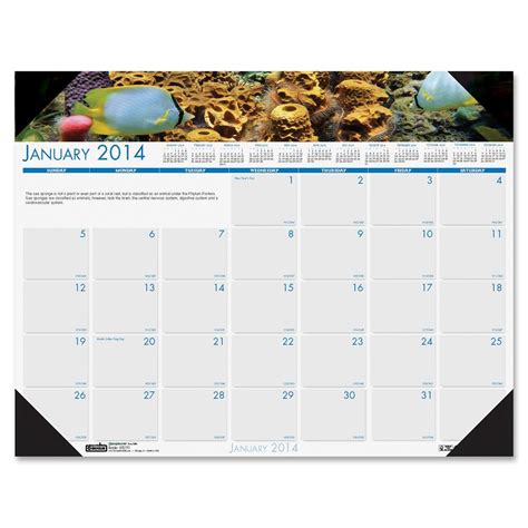 House Of Doolittle Earthscapes Sea Life Desk Pad Calendar 12 Months