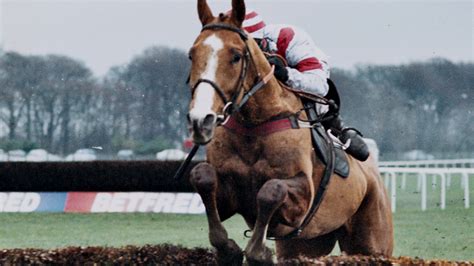 Jan vokes (toni collette), a cleaner and barmaid, manages to. Dark Horse: The Dream Alliance | Film & TV | The Gaitpost