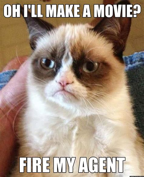 Grumpy Cat Learns About His Movie Grumpy Cat Know Your Meme